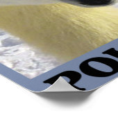 極救熊 ポスター (角)