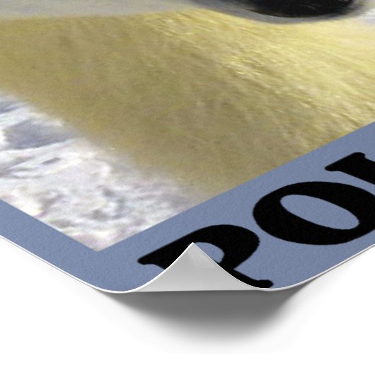 極救熊 ポスター (角)