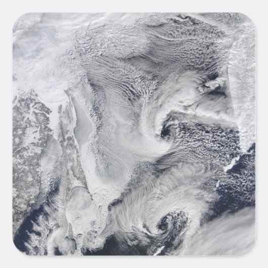 極東ロシア スクエアシール (正面)