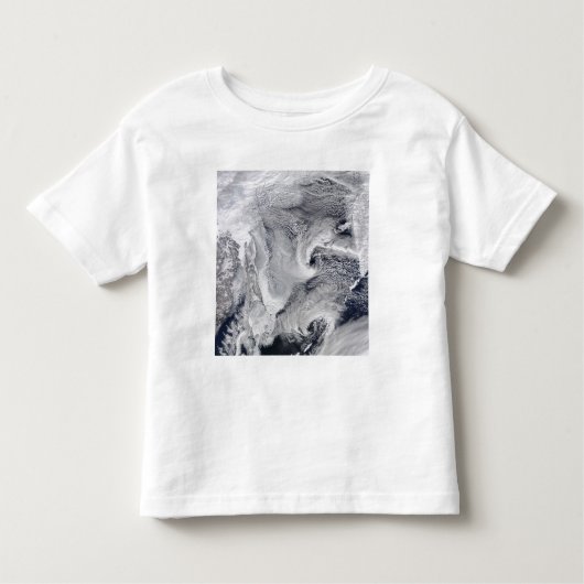 極東ロシア トドラーTシャツ (正面)