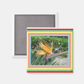 極楽のマグネット マグネット (正面/裏面)