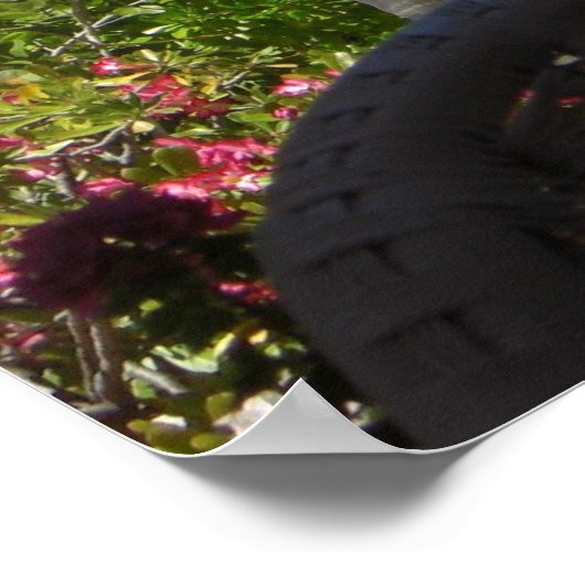 極楽の日 ポスター (角)