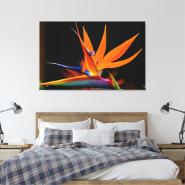 極楽の花の華やかな鳥 キャンバスプリント