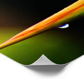 極楽の花の華やかな鳥 ポスター (角)