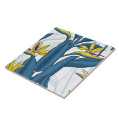 極楽の花の鳥 タイル (側面)