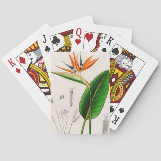 極楽の花鳥図解入りの、写真付きのヴィンテージ トランプ (裏面)