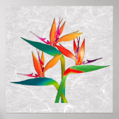 極楽の鳥の三尾 ポスター (正面)