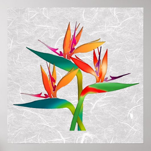 極楽の鳥の三尾 ポスター (正面)