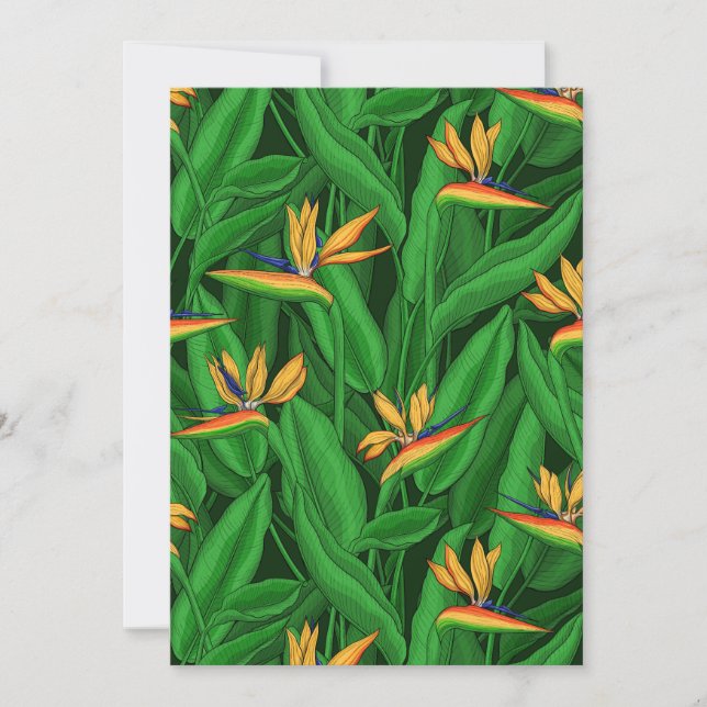 極楽園の夜鳥 (正面)