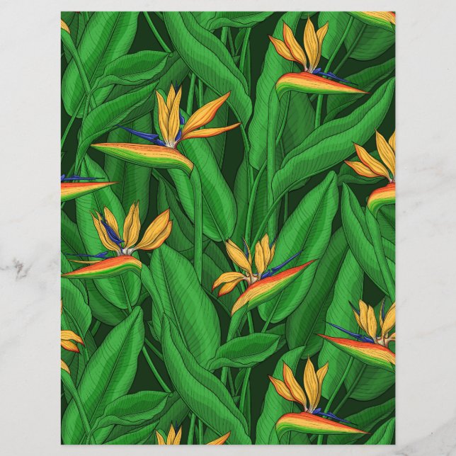 極楽園の夜鳥 (正面)