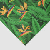 極楽園の夜鳥 薄葉紙 (詳細)