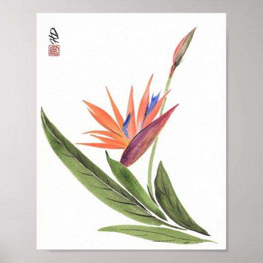 極楽浄土の花開く ポスター (正面)