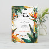 極楽至福の素敵な鳥 セーブザデート (スタンド正面)