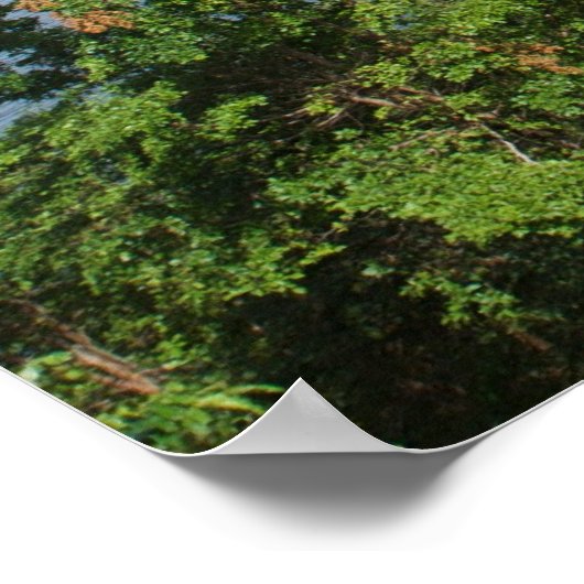 極楽要素 ポスター (角)