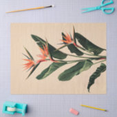極楽鳥の植物画デコパージュ 薄葉紙 (クラフト)