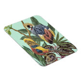 極楽鳥大鳥 マグネット (右側)