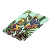 極楽鳥大鳥 マグネット (左側)