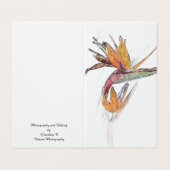 極楽鳥畳みカード (外部フラット)