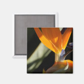 極楽鳥磁石 マグネット (正面/裏面)