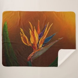 極楽鳥花 シェルパブランケット