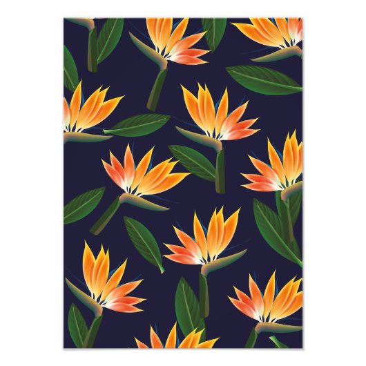 極楽鳥花 フォトプリント            (正面)