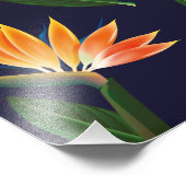 極楽鳥花 フォトプリント            (角)