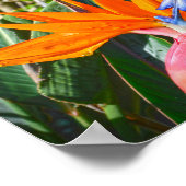 極楽鳥花 ポスター (角)