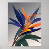 極楽鳥花 ポスター (正面)