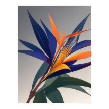 極楽鳥花