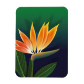 極楽鳥花 マグネット (縦)