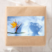 極楽鳥花 ラベル (インサイチュ)