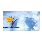 極楽鳥花 ラベル (正面)