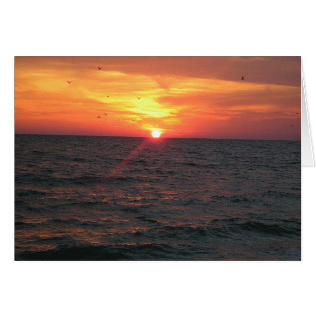 極楽鳥 (正面横)