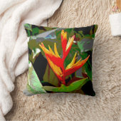 極楽鳥 クッション (ブランケット)