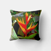 極楽鳥 クッション (裏面)