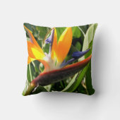 極楽鳥 クッション (裏面)