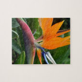 極楽鳥 ジグソーパズル (横)