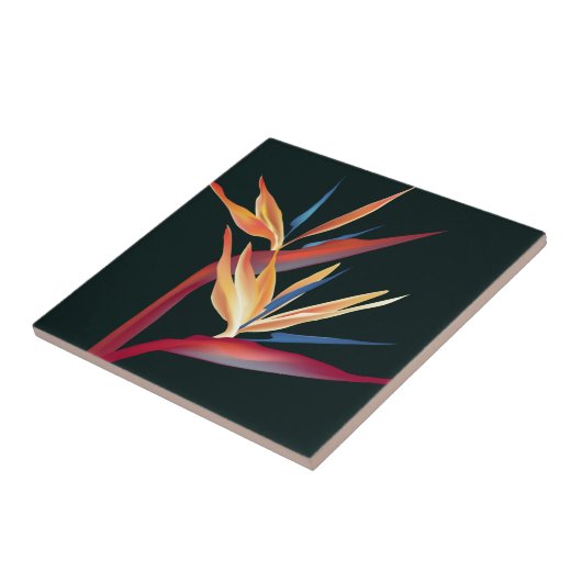 極楽鳥 タイル (側面)