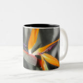 極楽鳥 ツートーンマグカップ (正面右)