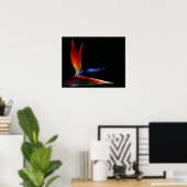 極楽鳥 ポスター (ホームオフィス)