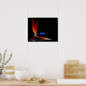 極楽鳥 ポスター (キッチン)