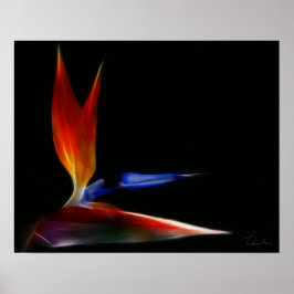 極楽鳥 ポスター