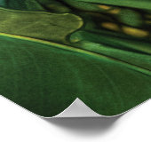 極楽鳥 ポスター (角)