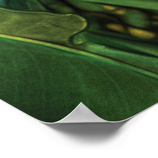 極楽鳥 ポスター (角)