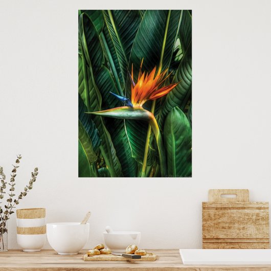 極楽鳥 ポスター (キッチン)