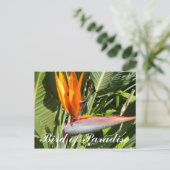 極楽鳥 ポストカード (スタンド正面)