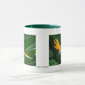 極楽鳥 マグカップ (中央)