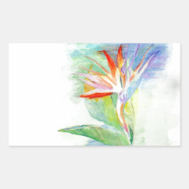 極楽鳥 長方形シール