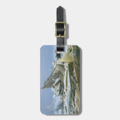 極洋1824年 ラゲッジタグ (正面縦)