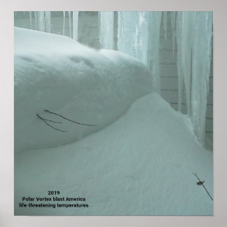 極渦がアメリカを襲う2019 ポスター